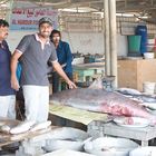 Fischmarkt in Umm al Quwain 3