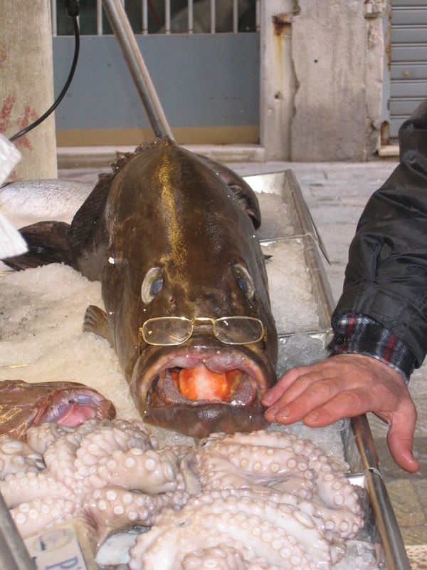 Fischmarkt in Venedig (glotz)