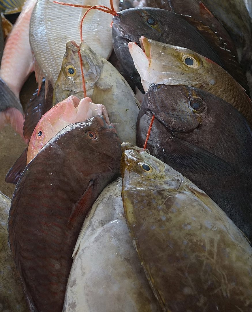 Fischmarkt in Victoria - Mahé