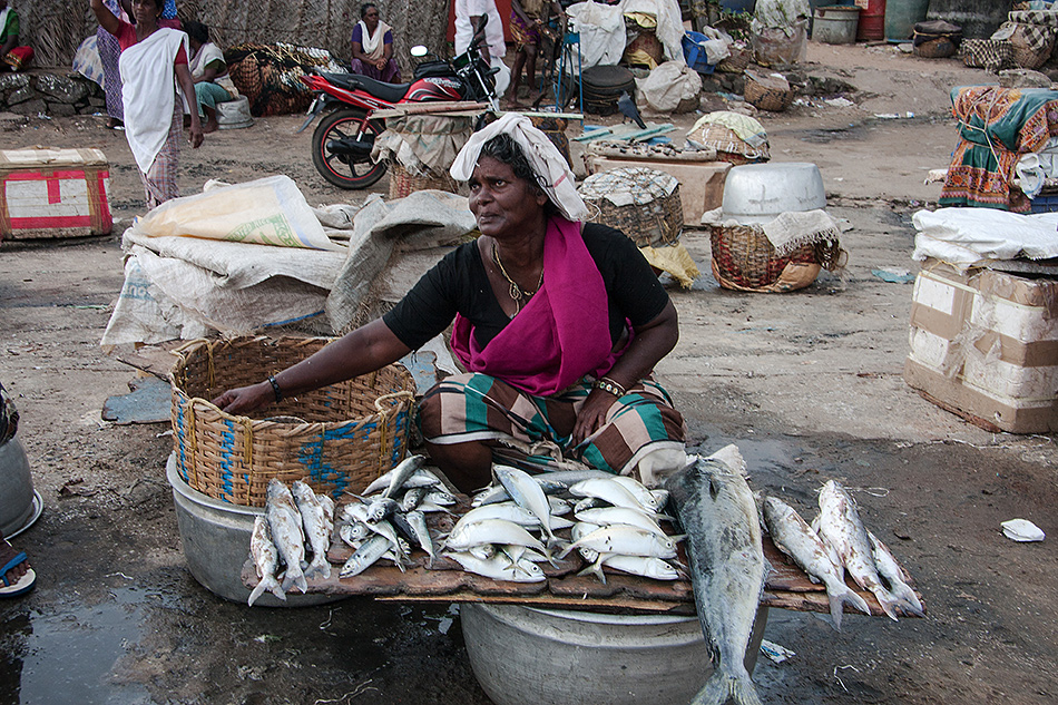 Fischmarkt in Vizhinjam