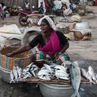 Fischmarkt in Vizhinjam