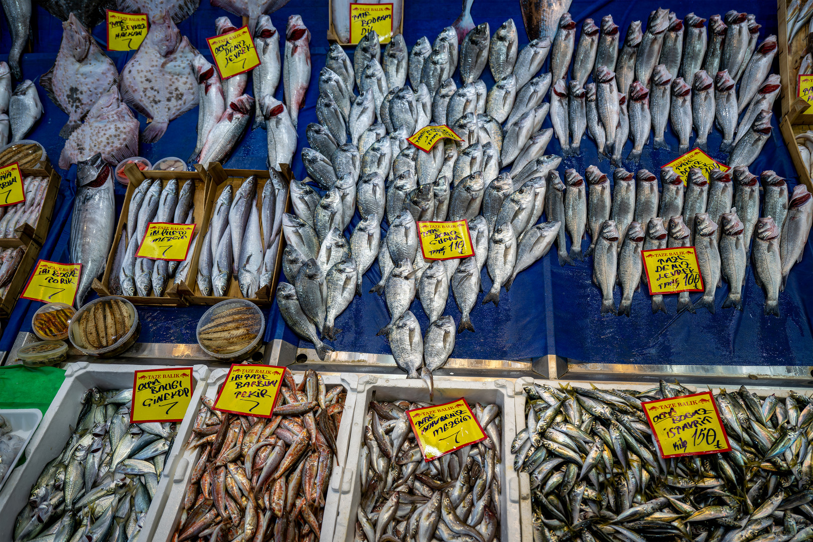 Fischmarkt Karaköy 03