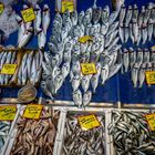 Fischmarkt Karaköy 03