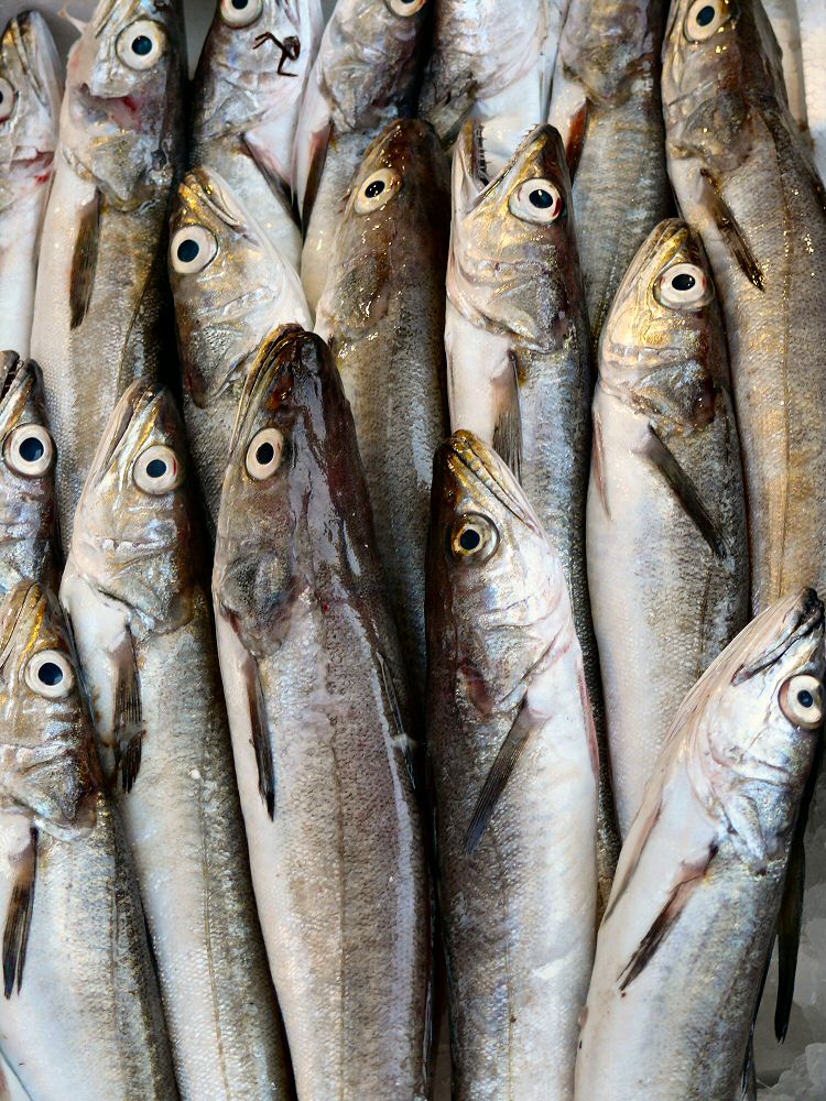 Fischmarkt Napoli_4