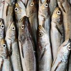 Fischmarkt Napoli_4