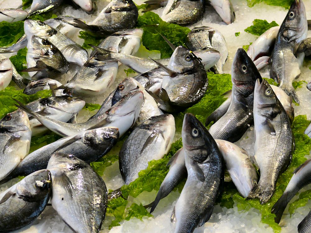 Fischmarkt Napoli_6