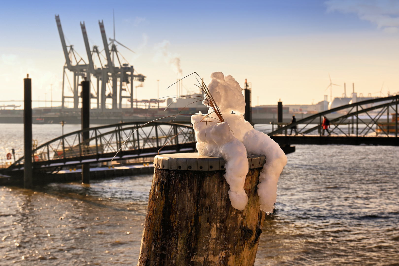 Fischmarkt - Ob er noch sitzt?