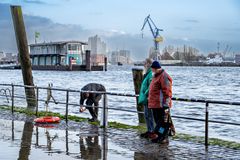 Fischmarkt - So rot, der Rettungsring