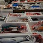 Fischmarkt Tsukiji