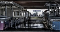 Fischmarkt und Fähranleger Ouistreham