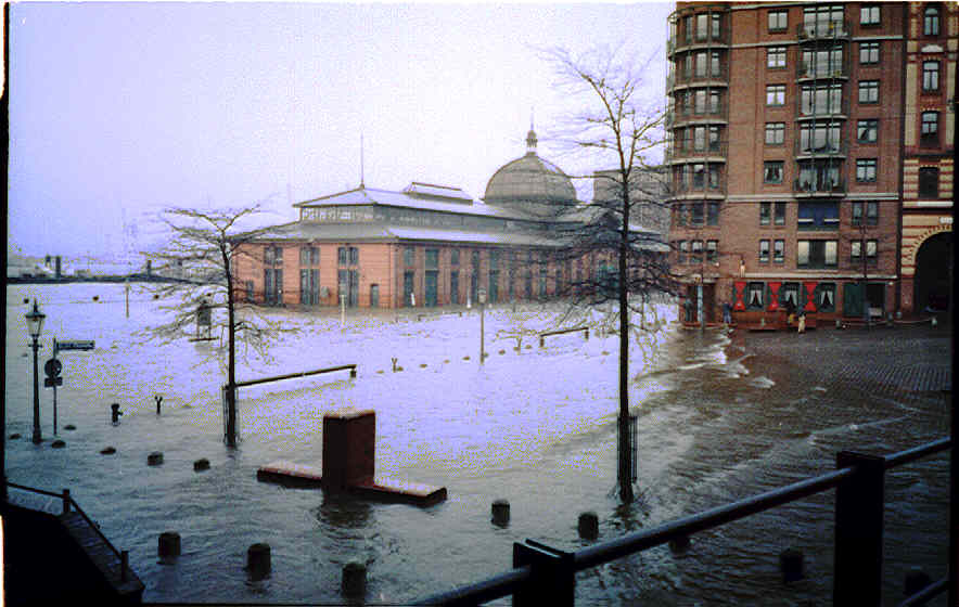 Fischmarkt under Water