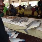 Fischmarkt von Dar es Salam