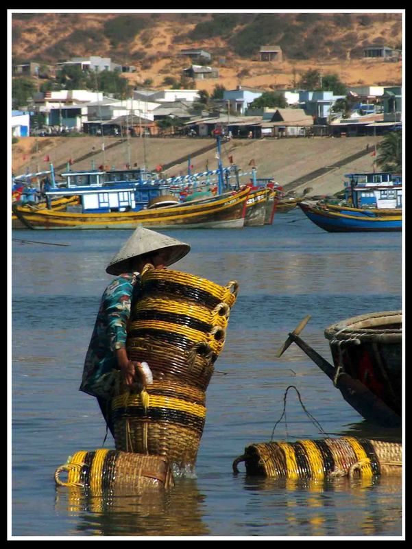 Fischmarkt zwischen Sahara und Karibik