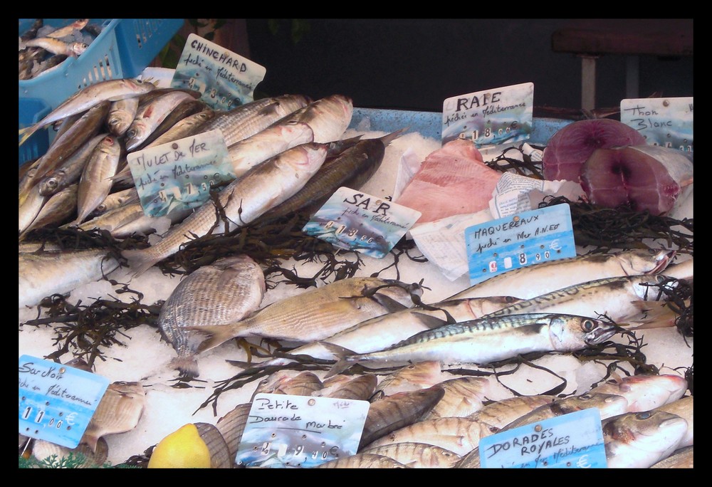 Fischmarktstand