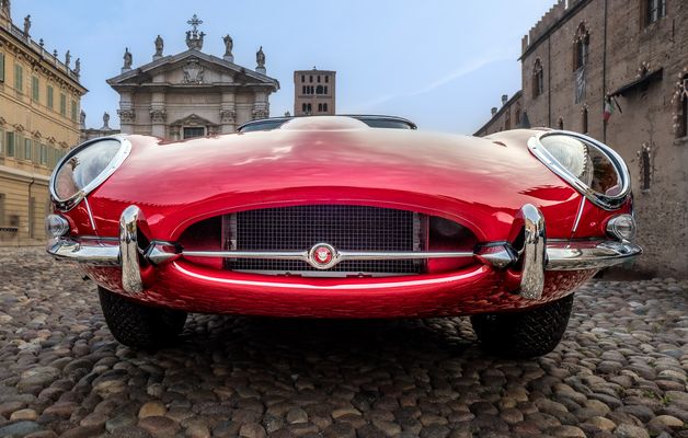 Fischmaul mit Glubschaugen