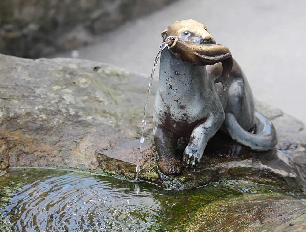 Fischotterbrunnen