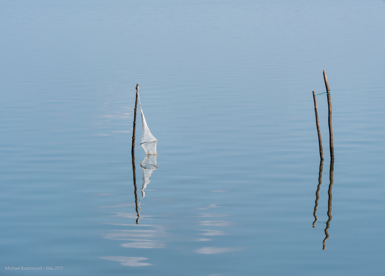 Fischreuse - gespiegelt