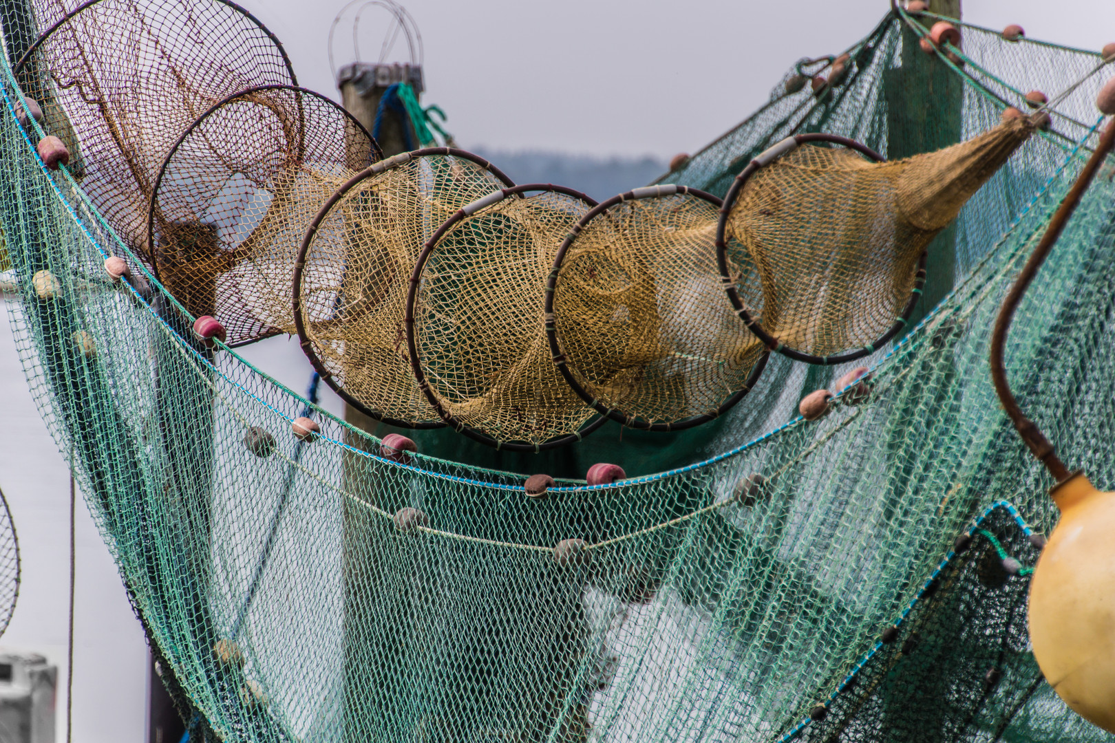 Fischreuse - Holm/Schleswig/Schleswig-Holstein