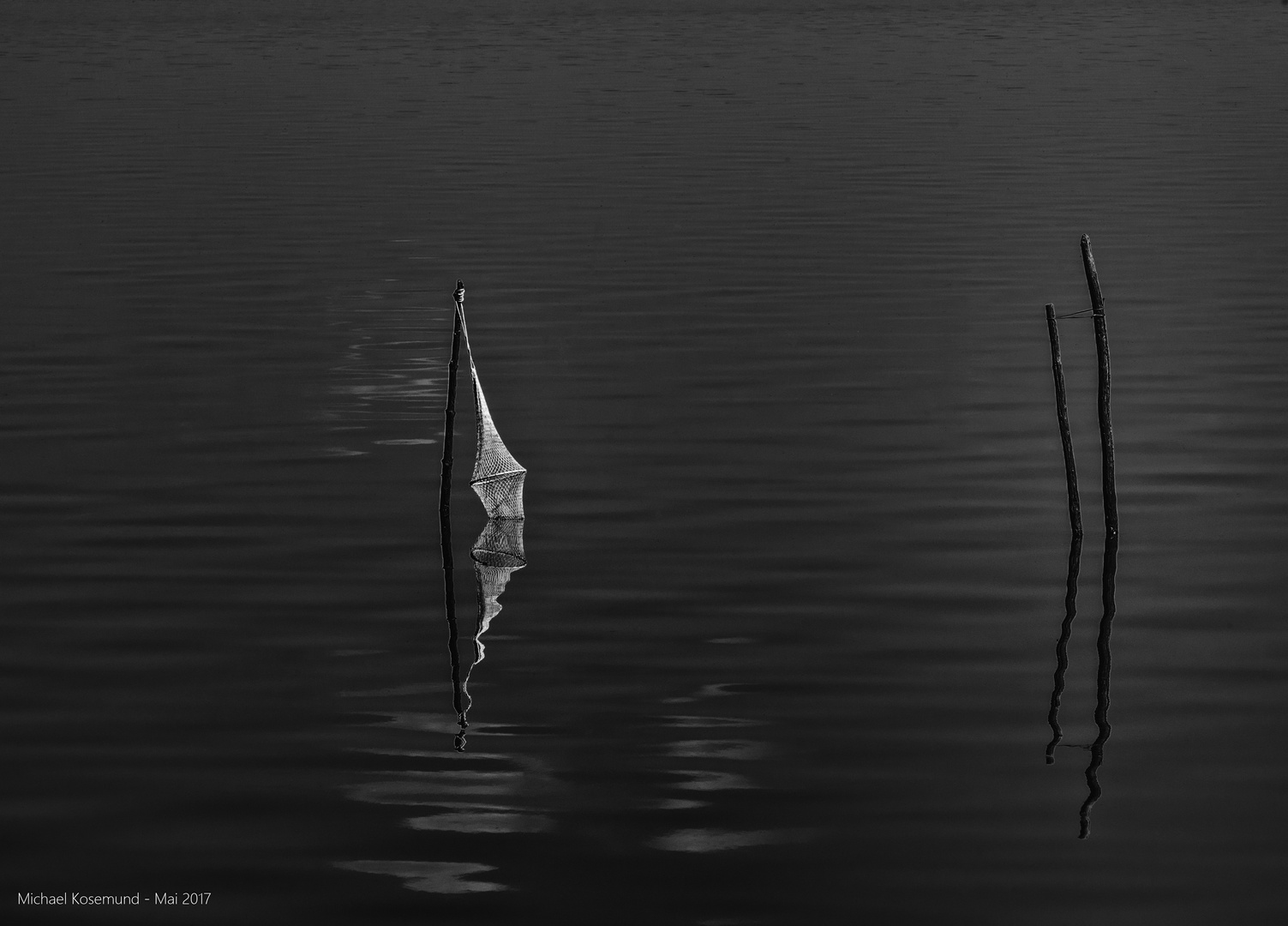 Fischreuse Steinhuder Meer - Low Key