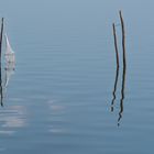 Fischreuse Steinhuder Meer - Variante in Farbe