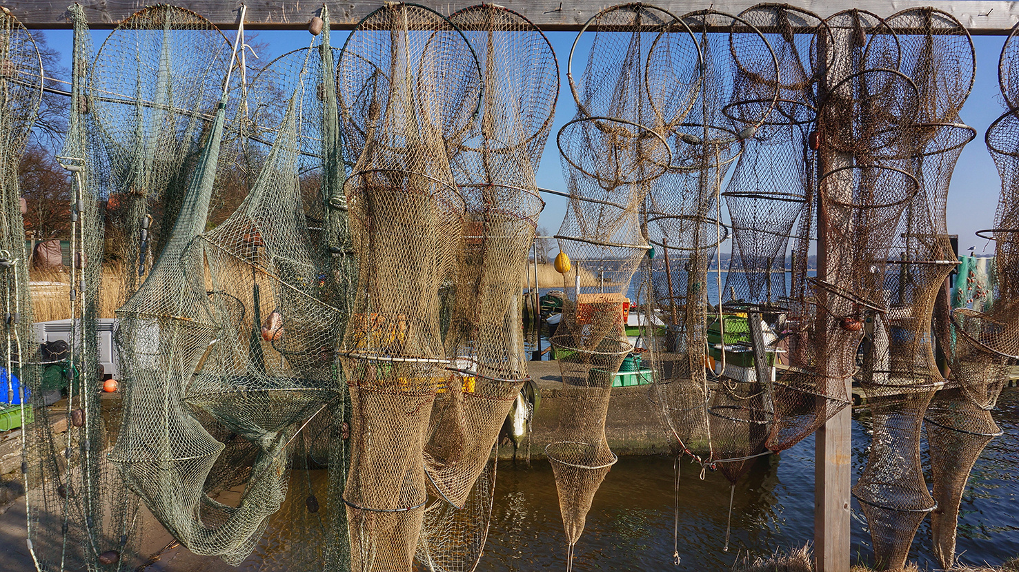 Fischreusen zum trocknen in Holm