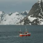 Fischsaison auf den Lofoten