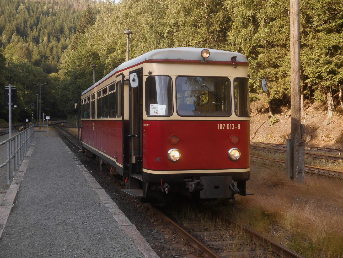 Fischstäbchen in Eisfelder Talmühle.