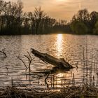 Fischteich am Abend - Hannover-Wülfel