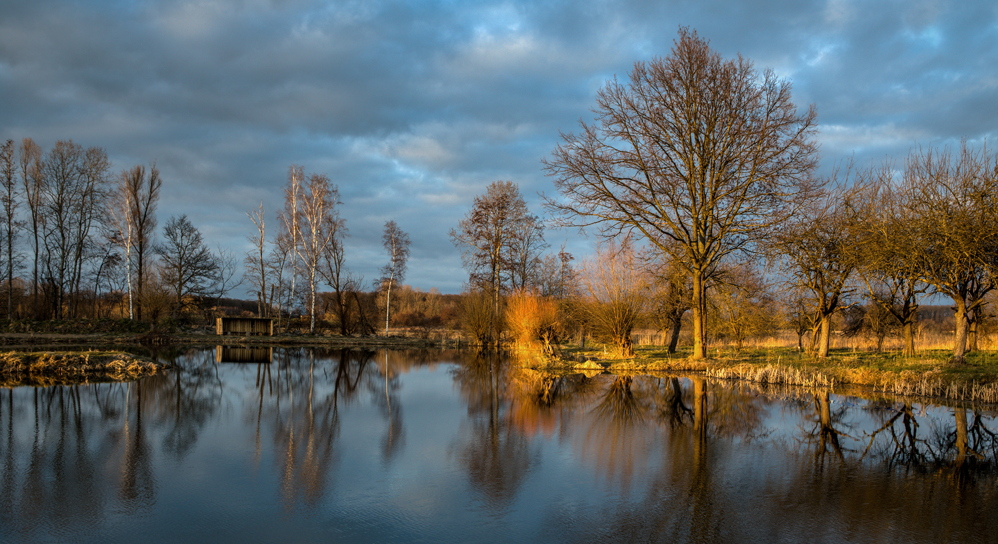 Fischteich am frühen Abend 001 