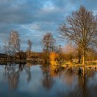 Fischteich am frühen Abend 001 