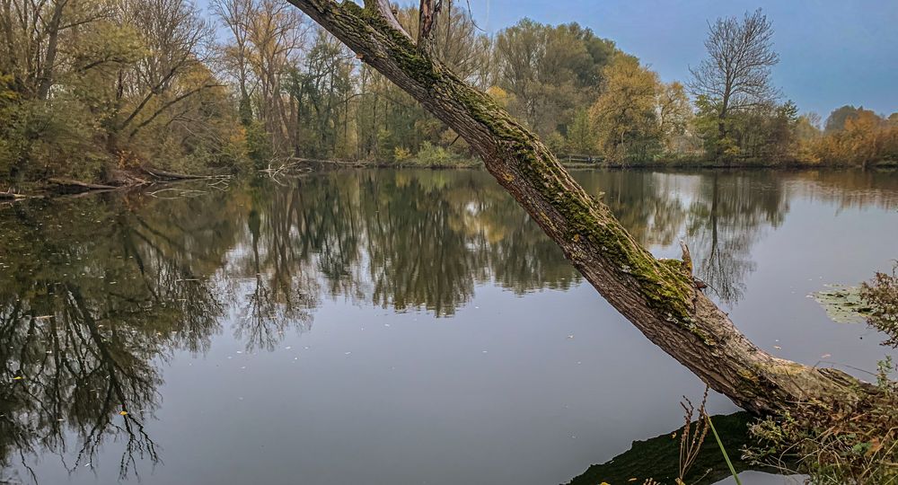 Fischteich  -  Hannover-Wülfel