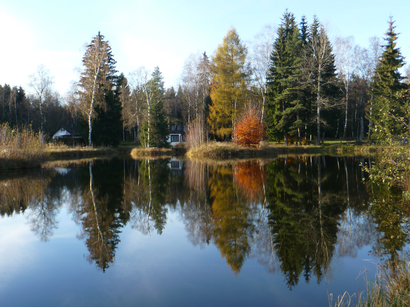 Fischteich im Erzgebirge bei Scheibenberg