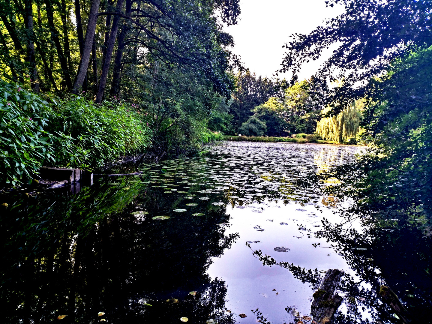 Fischteich im Fohnbachtal