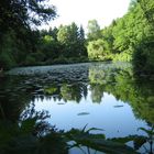 Fischteich im Frohnbachtal