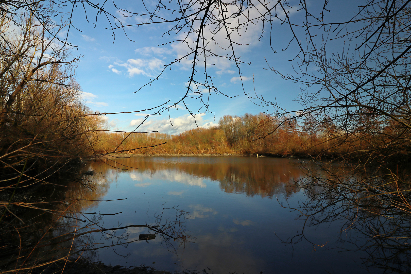 Fischteich im Frühling