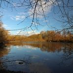 Fischteich im Frühling