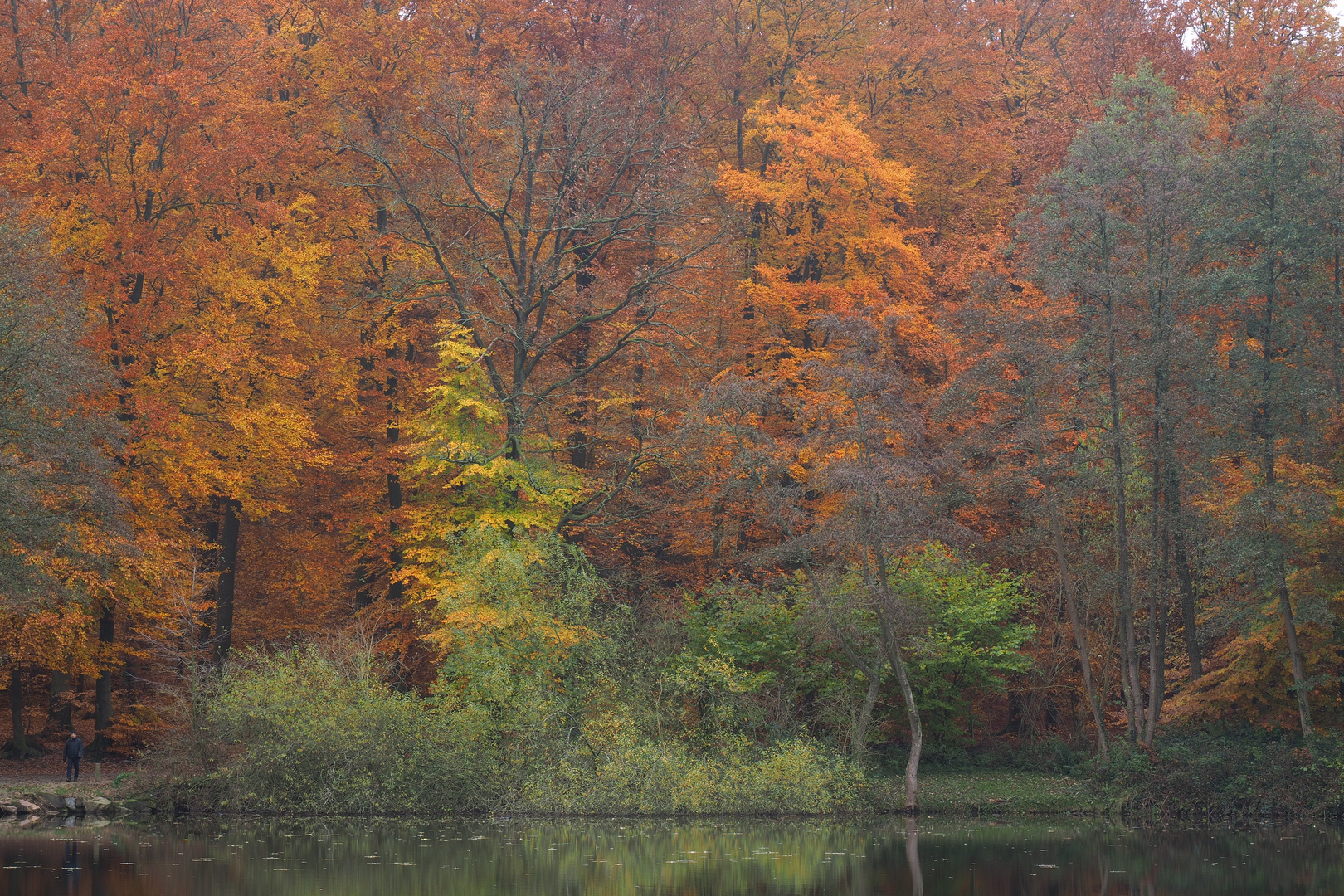 Fischteich im Herbst