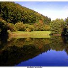 Fischteich im Herbst