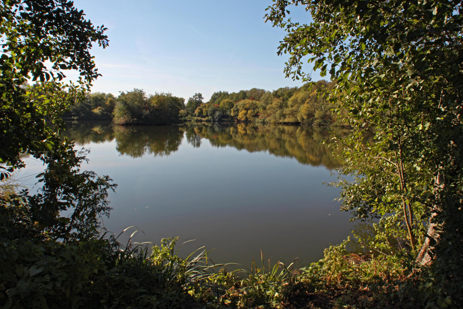 Fischteich im Herbstlicht