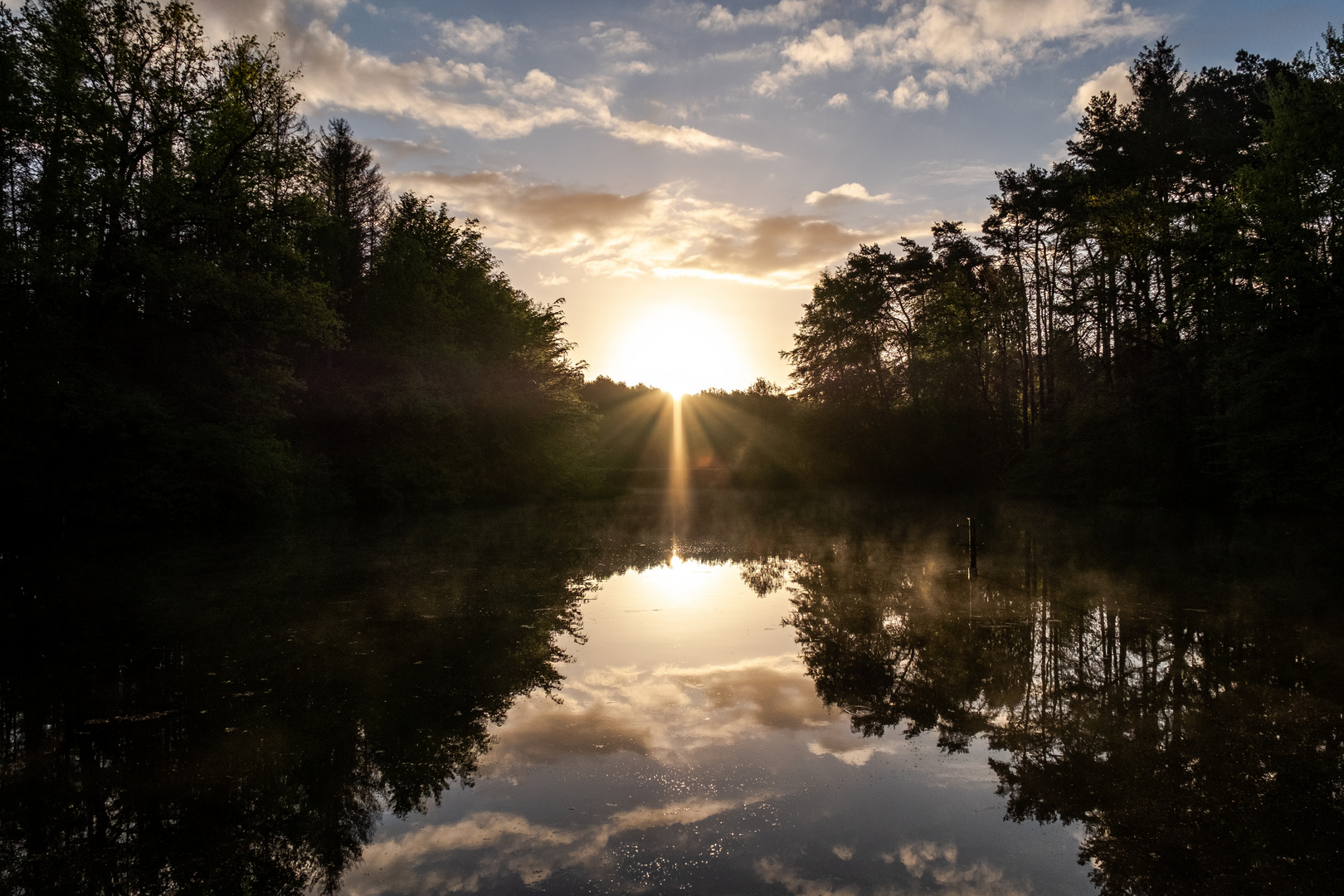 Fischteich im Mai