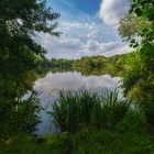 Fischteich im Westpark