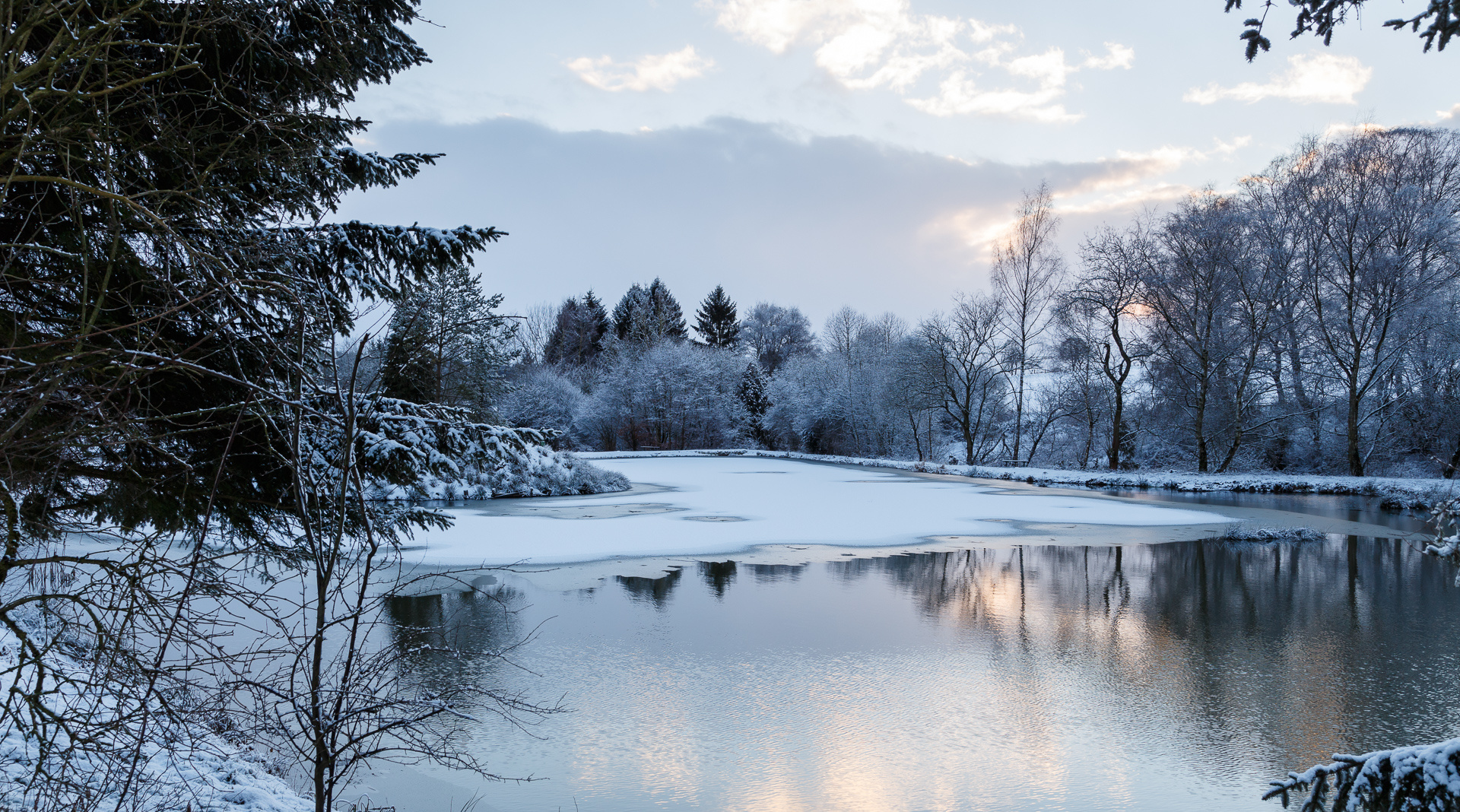 Fischteich im Winter