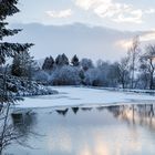 Fischteich im Winter