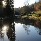 Fischteich in der Morgensonne