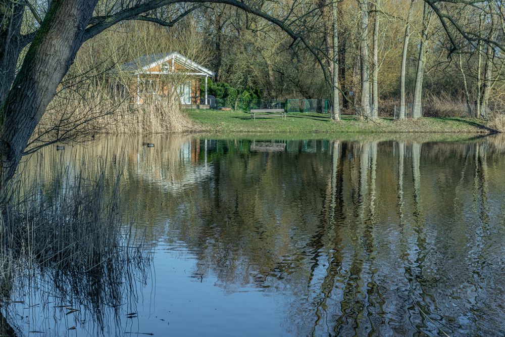 Fischteich in Hannover-Wülfel II