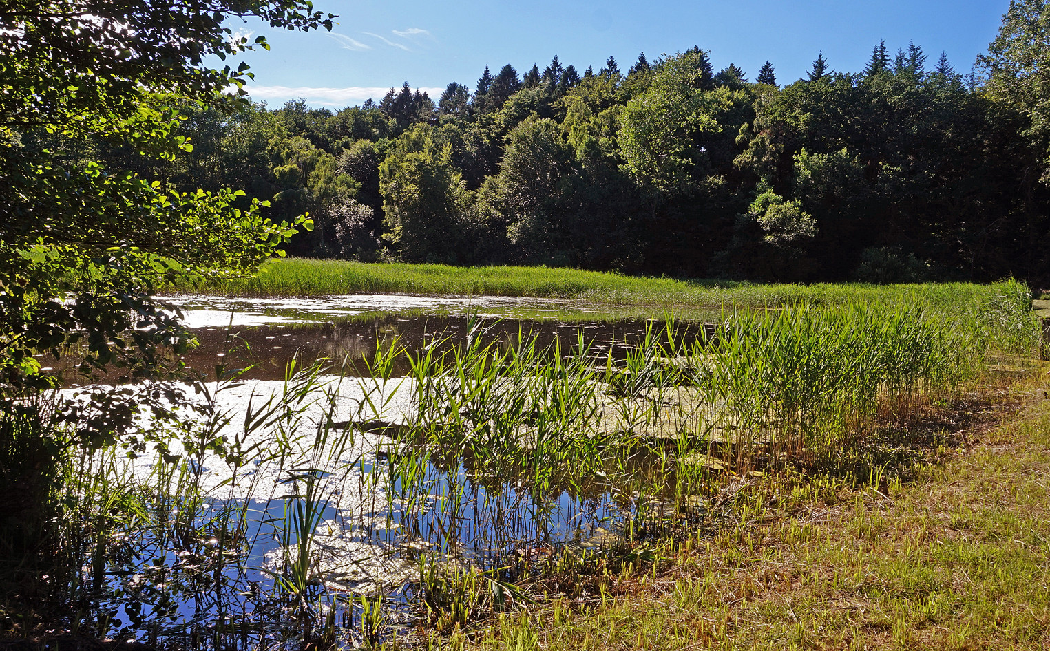 Fischteich in Hütten