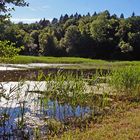 Fischteich in Hütten