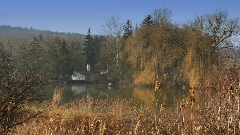 Fischteich in Niederkreuzstetten