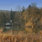 Fischteich in Niederkreuzstetten