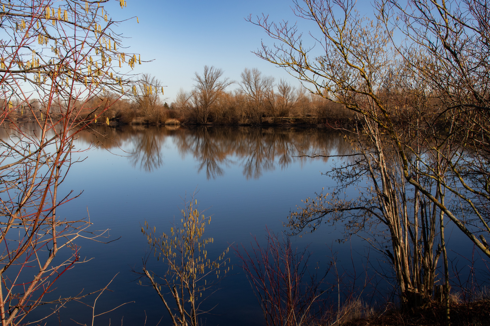 Fischteich Isingerode